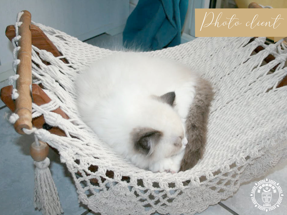support hamac chat 3