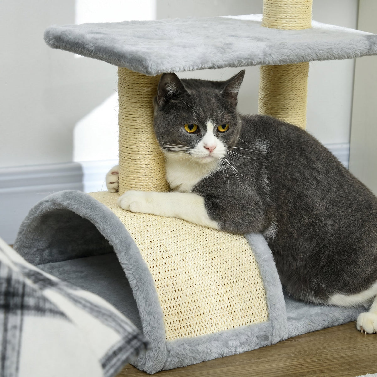 Arbre à chat arbre à grimper griffoir pour chat hauteur 72 cm balle suspendue gris clair-6
