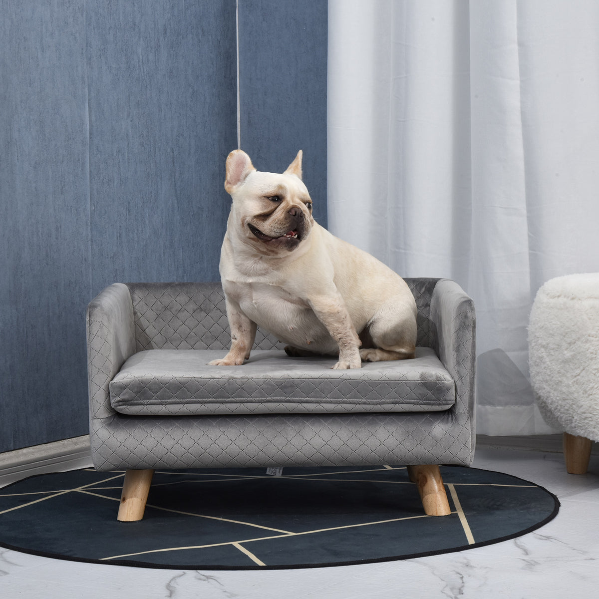 Canapé chien lit pour chien design scandinave coussin moelleux pieds bois massif dim. 64 x 45 x 36 cm velours gris-1