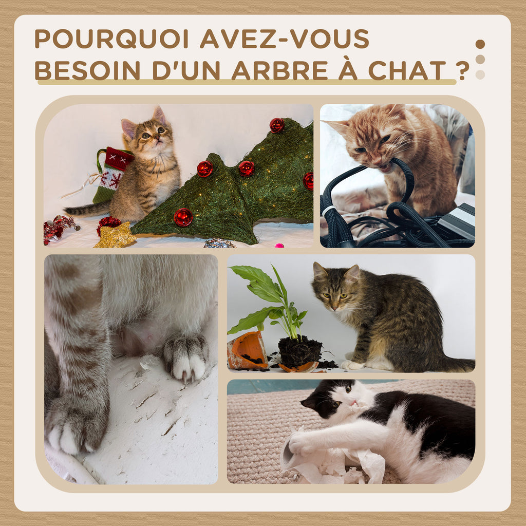 Arbre à chats design contemporain griffoirs grattoirs sisal naturel niche plate-formes hamac boule beige-5