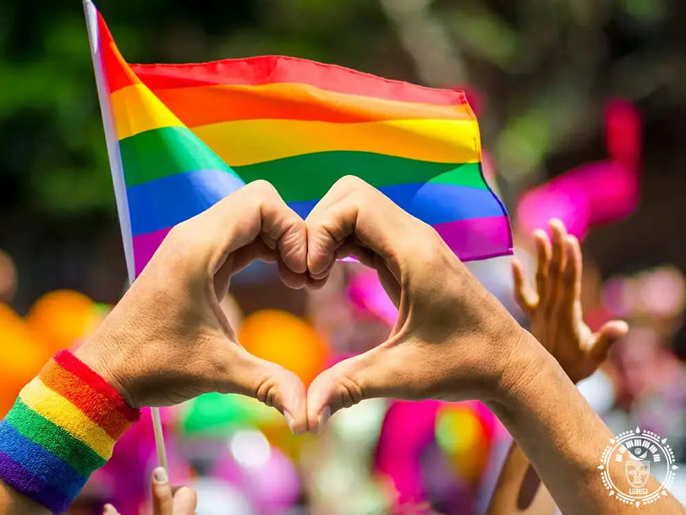 hamac a barre l pride 6