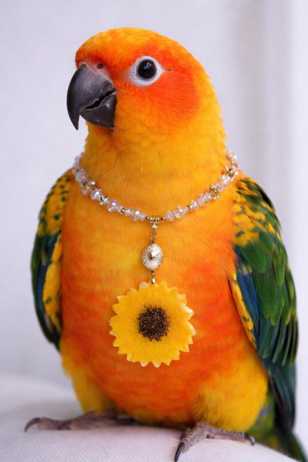 Collier tournesol doré " soleil d'été " avec perles de cristal, Fait main , le Bijou Soleil des Femmes lumineuses
