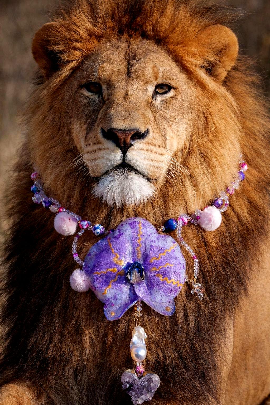 Collier Orchidée des anges en perles d’eau douce , améthyste & jaspe , serti d'un cœur en améthyste , bijou fleur exotique résiné à la main